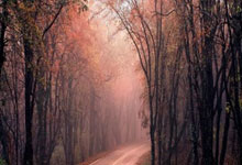 梅西创造奇迹，率巴萨晋级欧冠四强