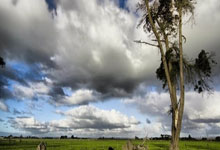 梅西创造奇迹，率巴萨晋级欧冠四强