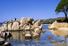 梅西创造奇迹，率巴萨晋级欧冠四强