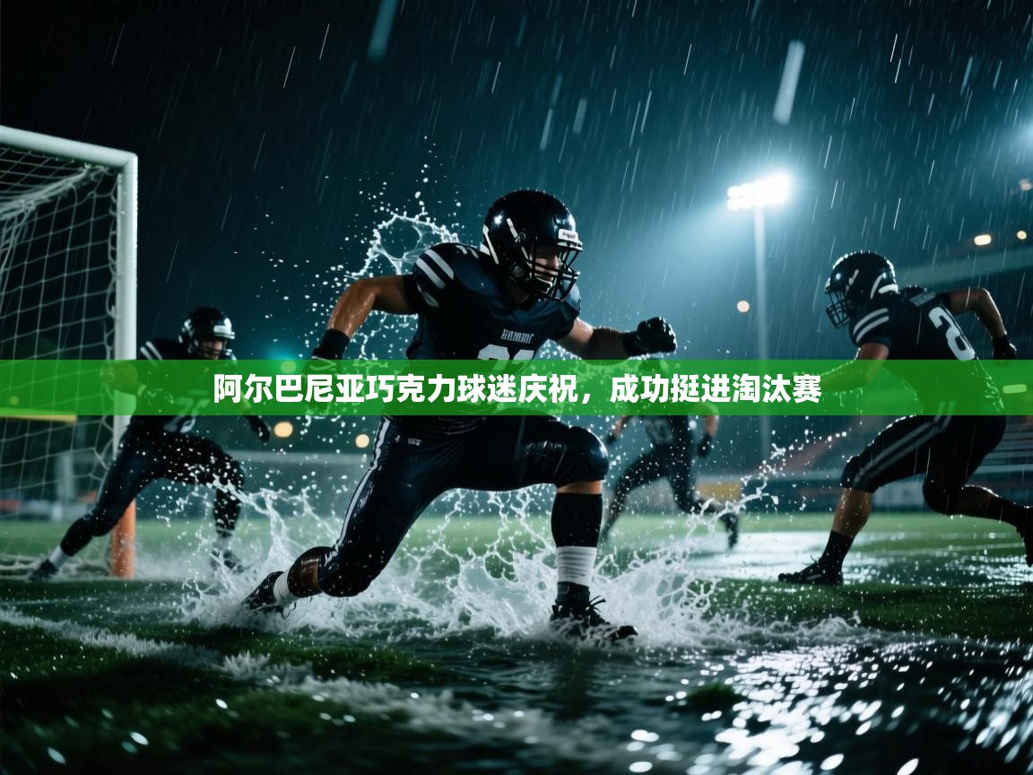 阿尔巴尼亚巧克力球迷庆祝，成功挺进淘汰赛  第2张