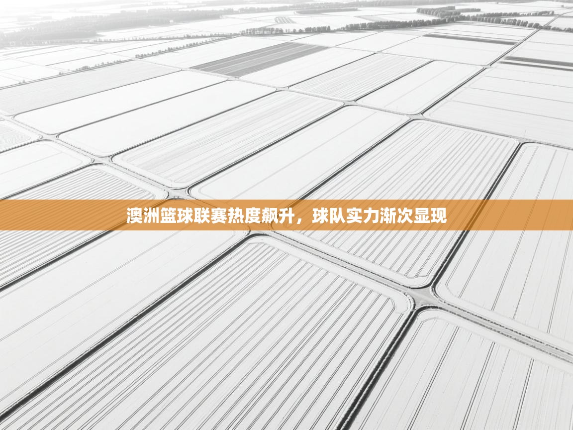 澳洲篮球联赛热度飙升，球队实力渐次显现  第2张