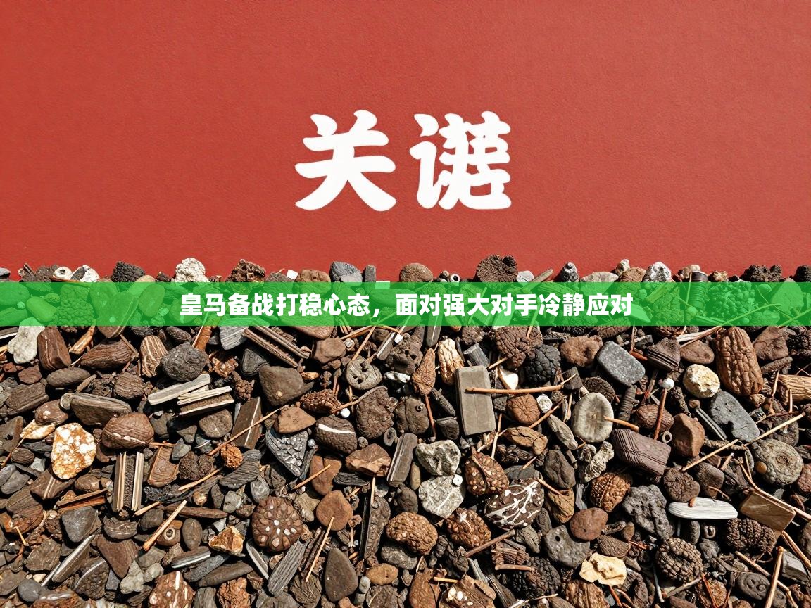 皇马备战打稳心态,面对强大对手冷静应对 第2张