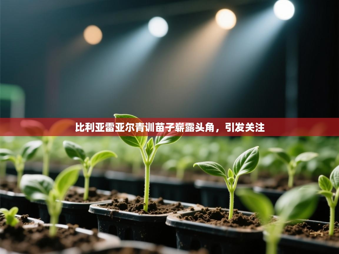 比利亚雷亚尔青训苗子崭露头角，引发关注  第2张