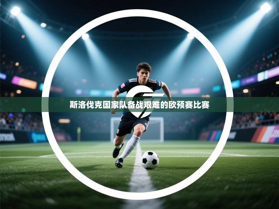 斯洛伐克国家队备战艰难的欧预赛比赛  第2张